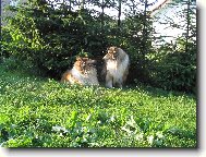 ...m�m T� r�da...