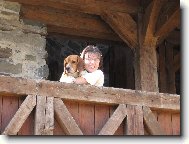 Dingo z Kun�i�ek