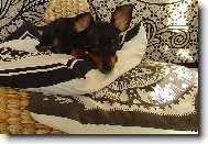 Te� budu spinkat... tak neru�it :)