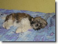 No tak dob�e, j� ti kousek uhnu...