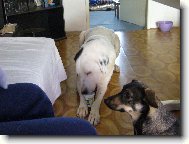 Jogurty m�m nejrad�ji