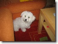 ...keysinka-4 m�s�ce