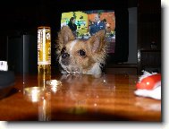 n�co pro mn�?...