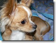 n�co pro mn�?...