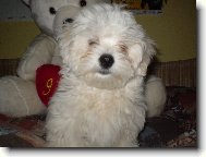 3 m�s��n� Mont��ek:)