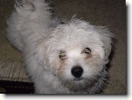 Po proch�zce v de�ti