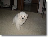 Po proch�zce v de�ti