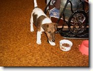 Poj� si se mnou hr�t