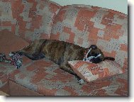 Je�t� si zd��mnu :)