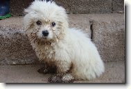 Kdy� byl Kimi mal�