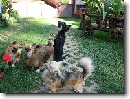 J� jsem nejv�t��.