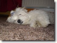 Spinkaj�c� Mont�k