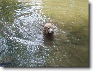 to jsem si p�kn� zaplavala