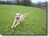 b�����������m!