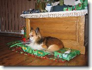 d�rek od Je��ka