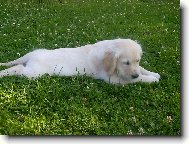 Ahoj jmenuji se Angel a sem v�n� and�lek=o)