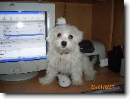 Kdo je v�t��?J� nebo po��ta� m� pani�ky?