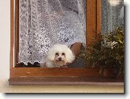 Samuel kouk� jak je dneska venku:-))