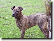 B�ra 5 m�s�c� 34kg