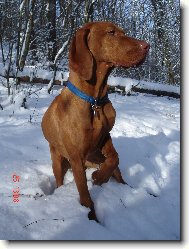 Bora Z Labsk� Lhoty