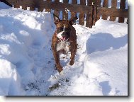 hur���������