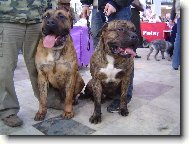 V�stava Olomouc 2007