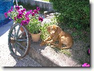 Tessinka je�t� �t���tko :o)