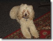 to je m�j mil�ek