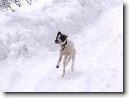 Benjamine na hor�ch