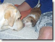 Meggie a miminko ����nka Max