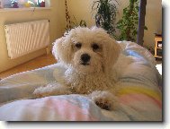 Keysi na�e zlat��ko- 6 m�s�c�