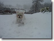 Hur����������!!!!!!Sn���h!!