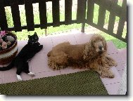 odpo�inek p�ed proch�zkou