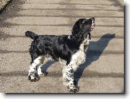 Benjamin od Kamenn� b�by: \" hod� mi ten aportek?\" :)