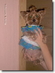 Tak a m��eme se pustit do v�no�n�ho �klidu:o\\)