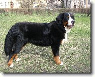 Je�t� mal� nebo u� velk�\\?