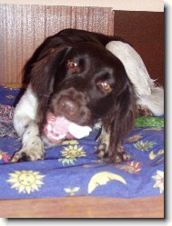 Hera\\.\\.\\.10 m�s�c�