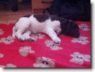 Hera z Vlasteck�ho vrchu