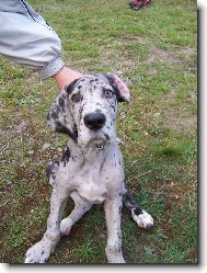 Slun��ko Ambru�ka