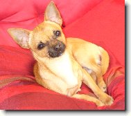 Fenri \\(Reino-chi ze S�dlberku\\)