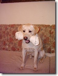 To m�m ale kosti�ku,�e?