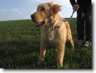 N� 5tim�s��n� fe��k Jerry:)