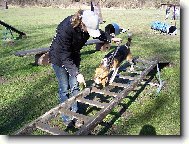 Bonny z�chran��