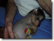 moje zlat��ko Fanny