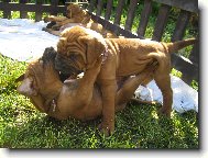 to n�m byl jeden m�s�c