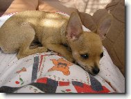 tady se tak fajn le��