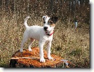 ..je�t� jedna na pa�ezu ;)