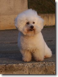 Andy z �erven�ch roklin