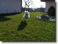 Mike�ek ze �ukova