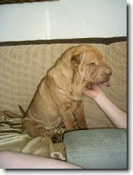 J����...to je dobrota